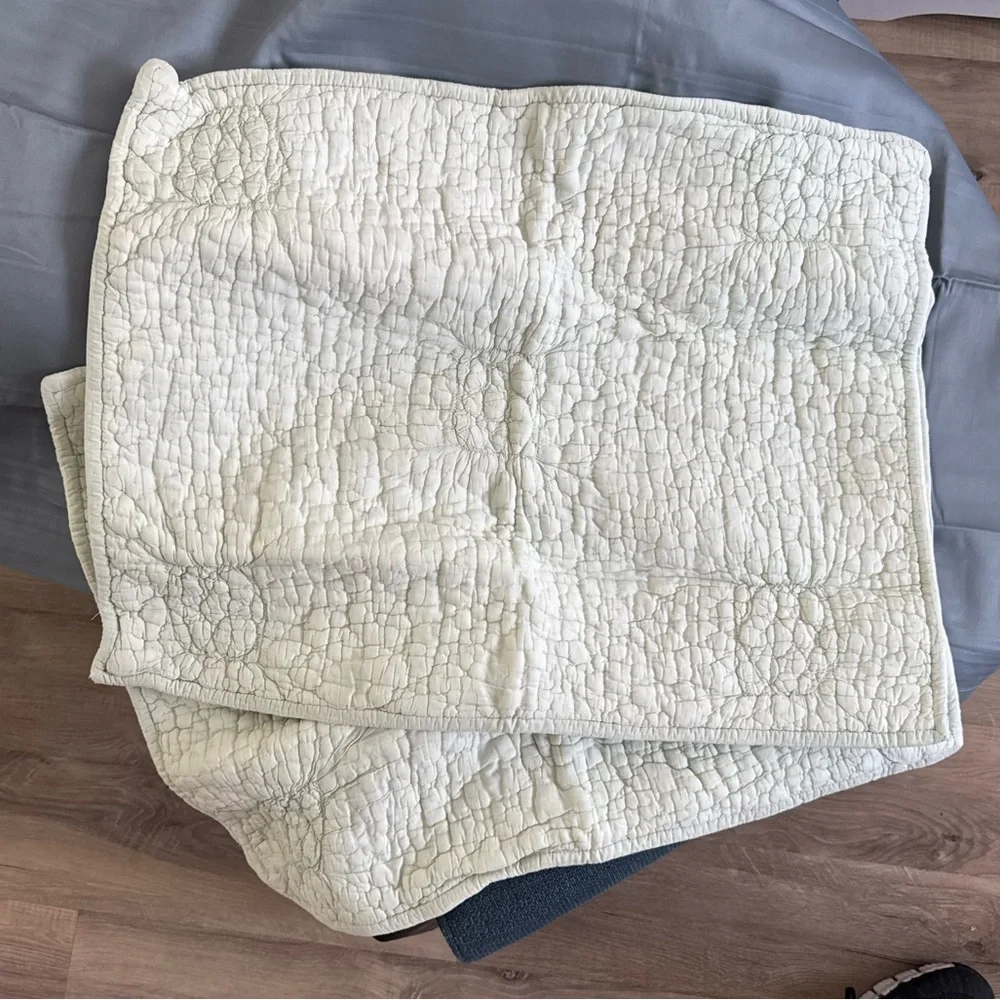 West Elm Standard Sham Set